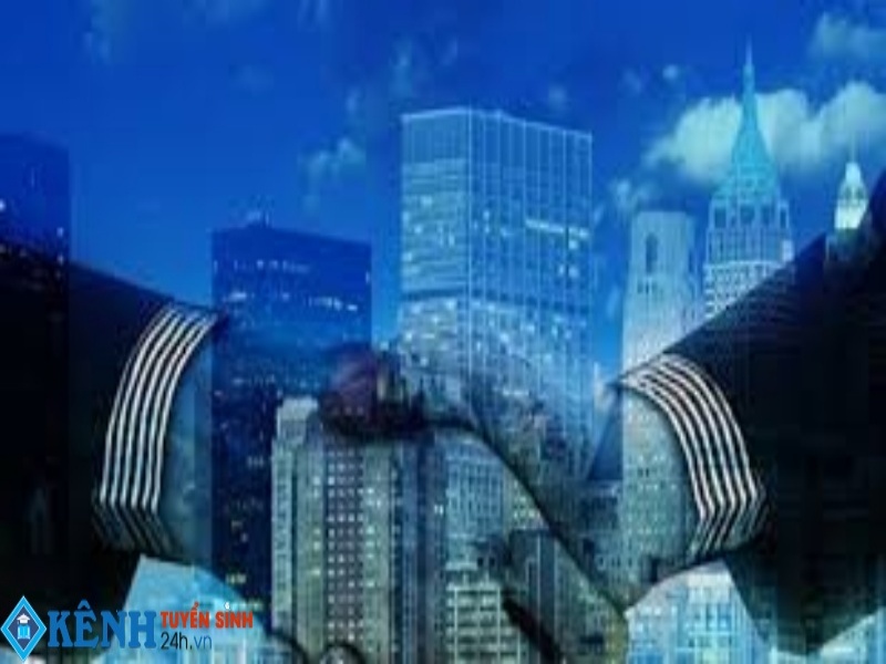 Ngành Quốc tế học ra làm gì?